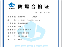 Explosion proof rating and certification significance